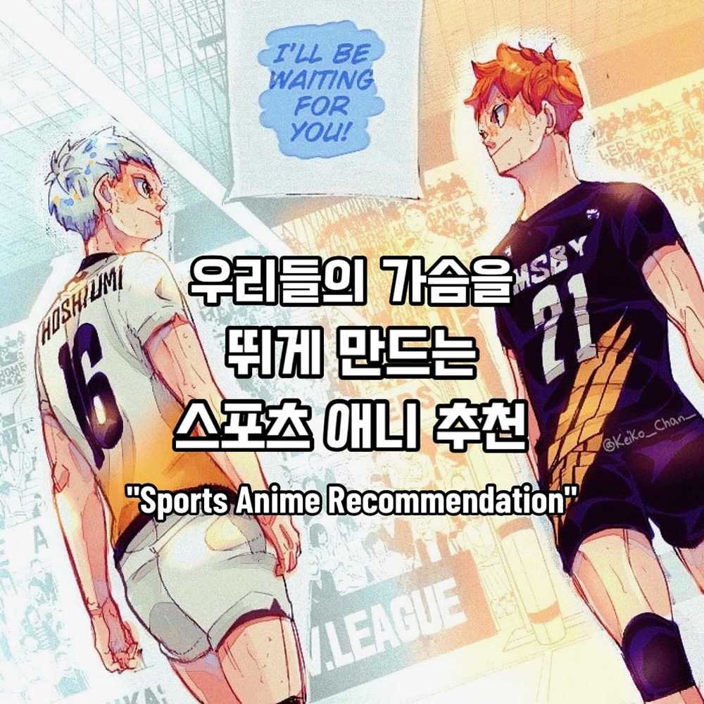 스포츠 애니 추천