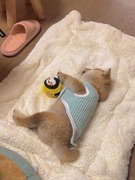 밤 늦게까지 놀더니 오늘 늦잠 자요 ㅋ