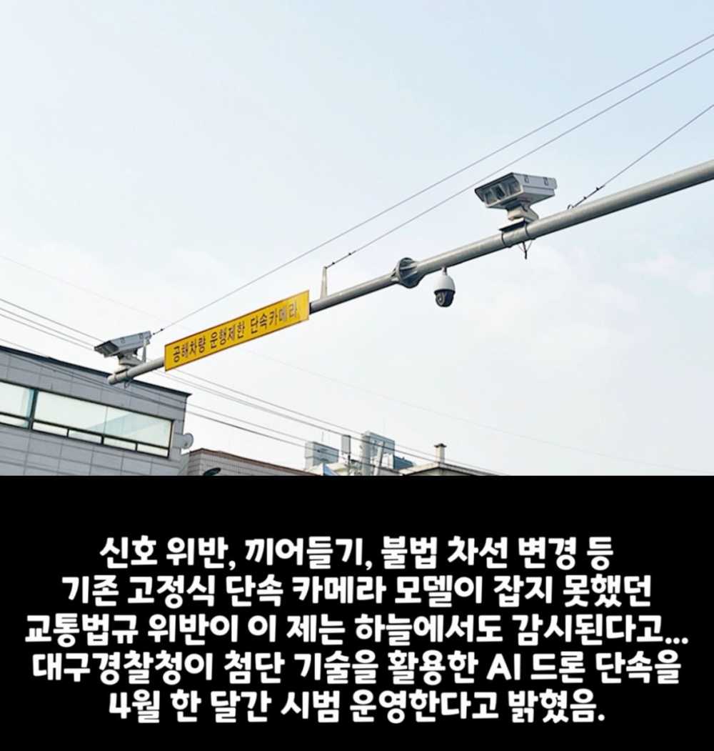 6295b887643993d27fecf7268982db33-2.jpg