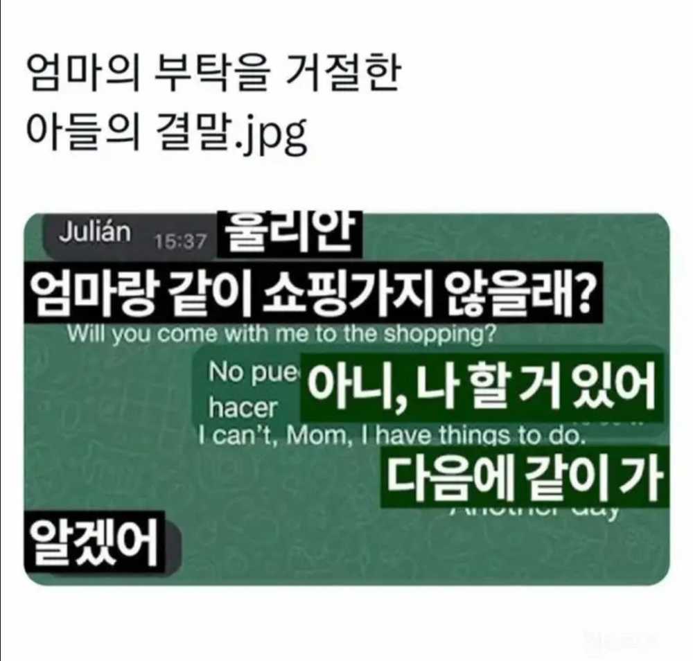 엄마의 부탁을 거절한 아들의 결말.jpg