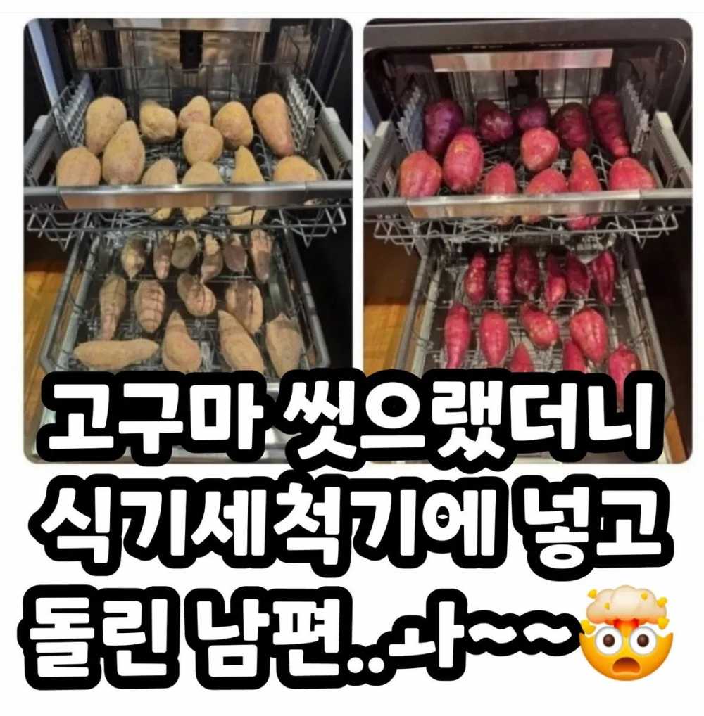 고구마 씻으랬더니 식기세척기에 넣고 돌린 남편 ㅋㅋㅋㅋㅋ