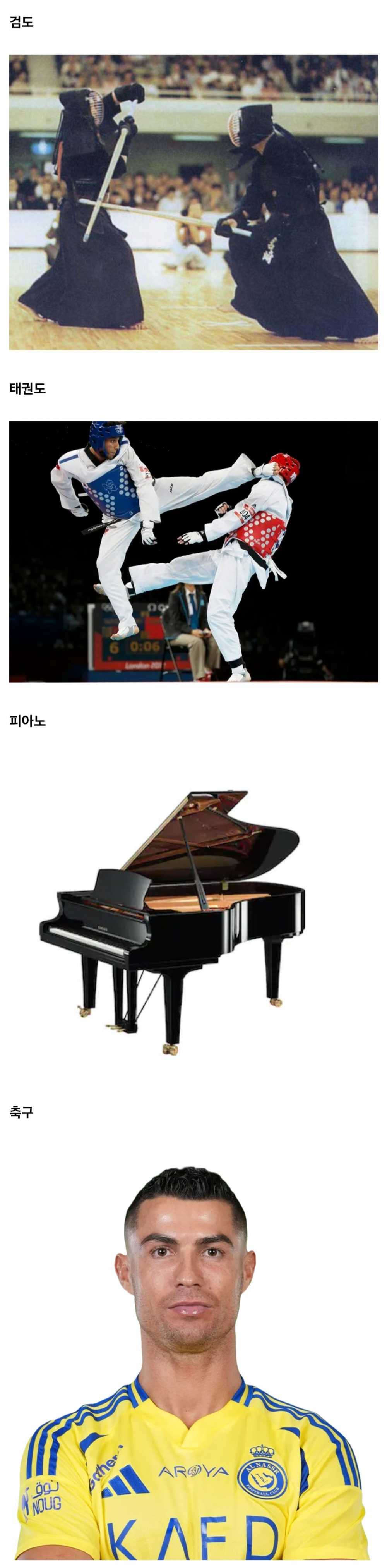 어렸을 때 배워두면 좋은 취미들.jpg