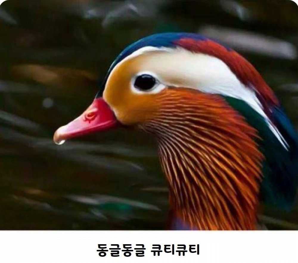 9a862542cbbe64f22077efad59219019-3.jpg
