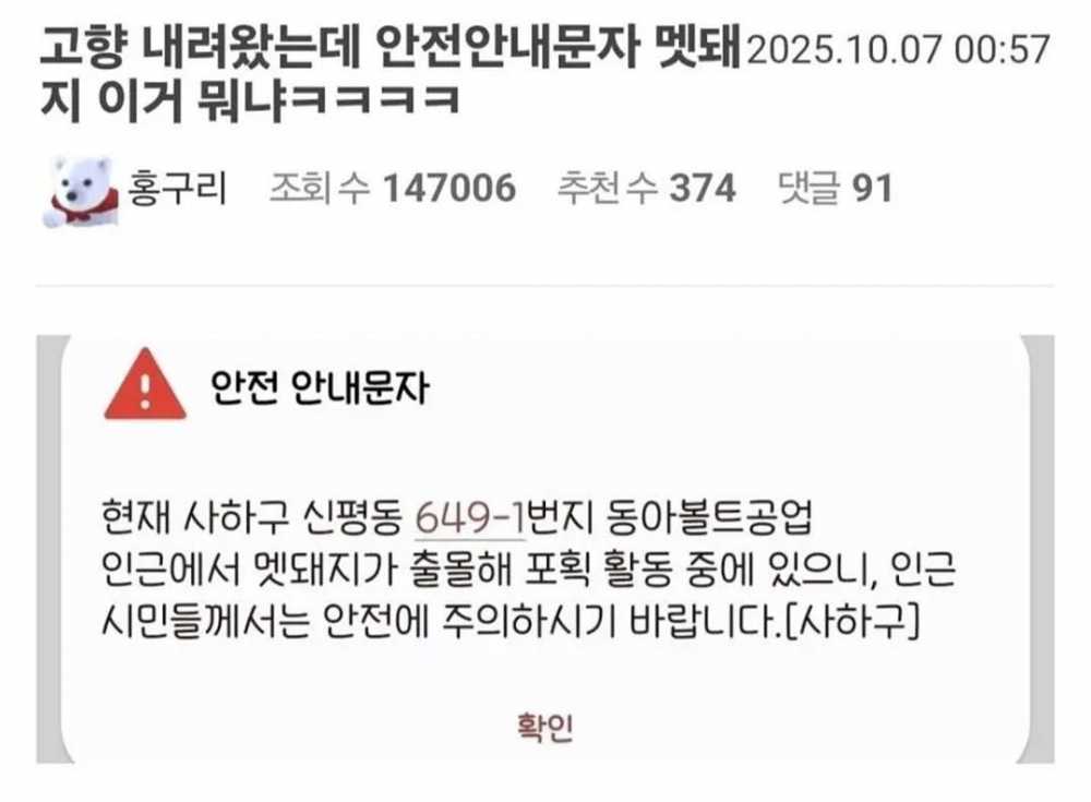 적극적인 주민 협조로 멧돼지를 물리친 사하구